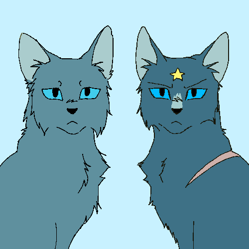 mistyfoot and bluestar